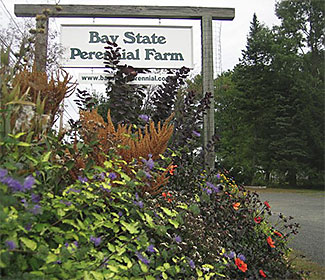 Bay State Perennial Farm
